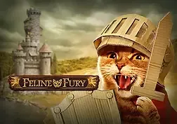Feline Fury
